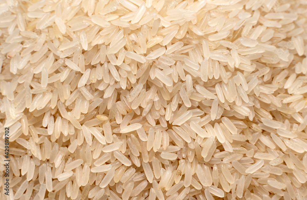 Rice.Grains. Raw rice grains in close-up. Healthy and balanced nutrition