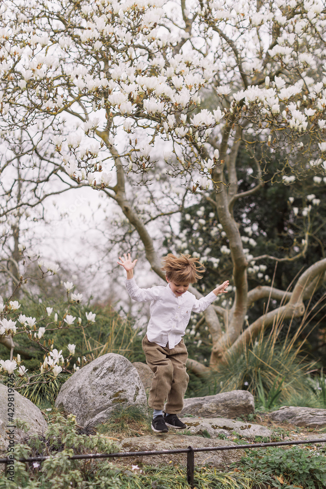 Fototapeta premium Little blond boy in a white shirt and corduroy pants. Bouncing. In the open air. Park. Magnolia flowering.
