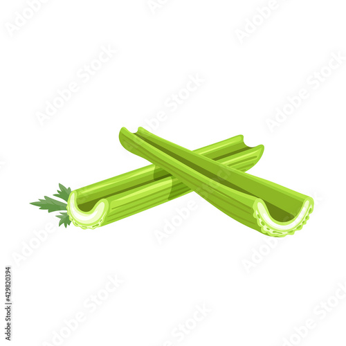 Fresh celery stalks. Cartoon style farm fresh vegetable drawing. Natural eco food, dieting. Vector illustration isolated on white background.