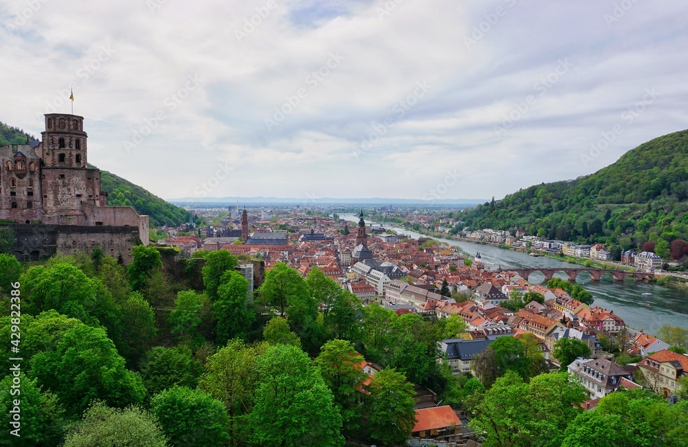 Heidelberg from the hill