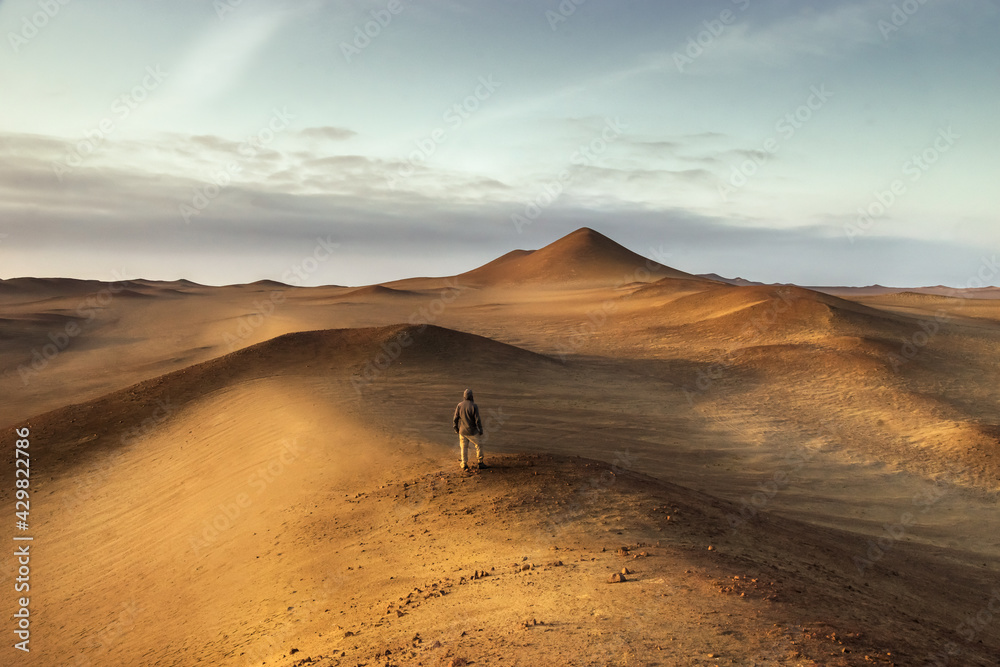 Red Desert Red Desert