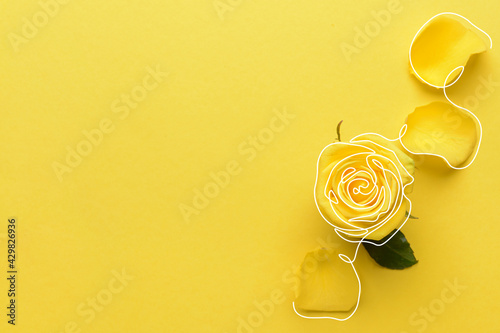 Beautiful yellow rose on co...