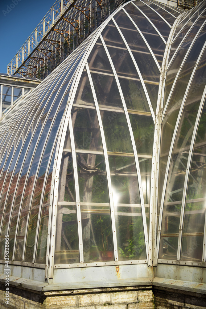 The metal structures of the glass walls of the greenhouse are transparent and large, and many green exotic plants grow in warm and tropical conditions. The metal structures of the glass walls of the greenhouse are transparent and large, and many green exotic plants grow in warm and tropical conditions.