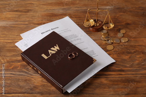 Law book with rings and div...