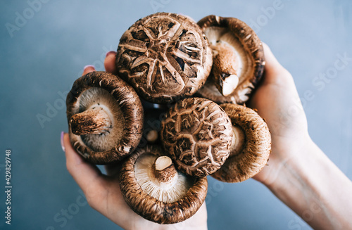 Foto Shiitake mushrooms in hands on blue background, close-up.