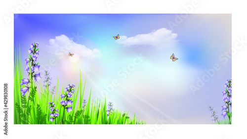 Summer floral background with bellflowers (carpatica), grass and butterflies against the sky with clouds and sunbeams. Environmental protection concept. Vector illustration. 