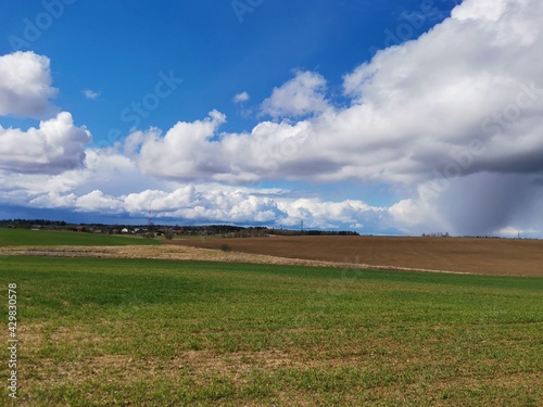 field and sky