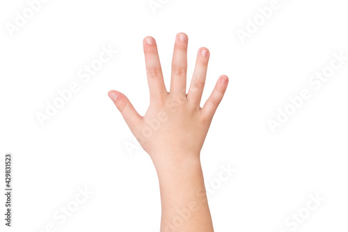 hand isolated on white background. Hand gesture