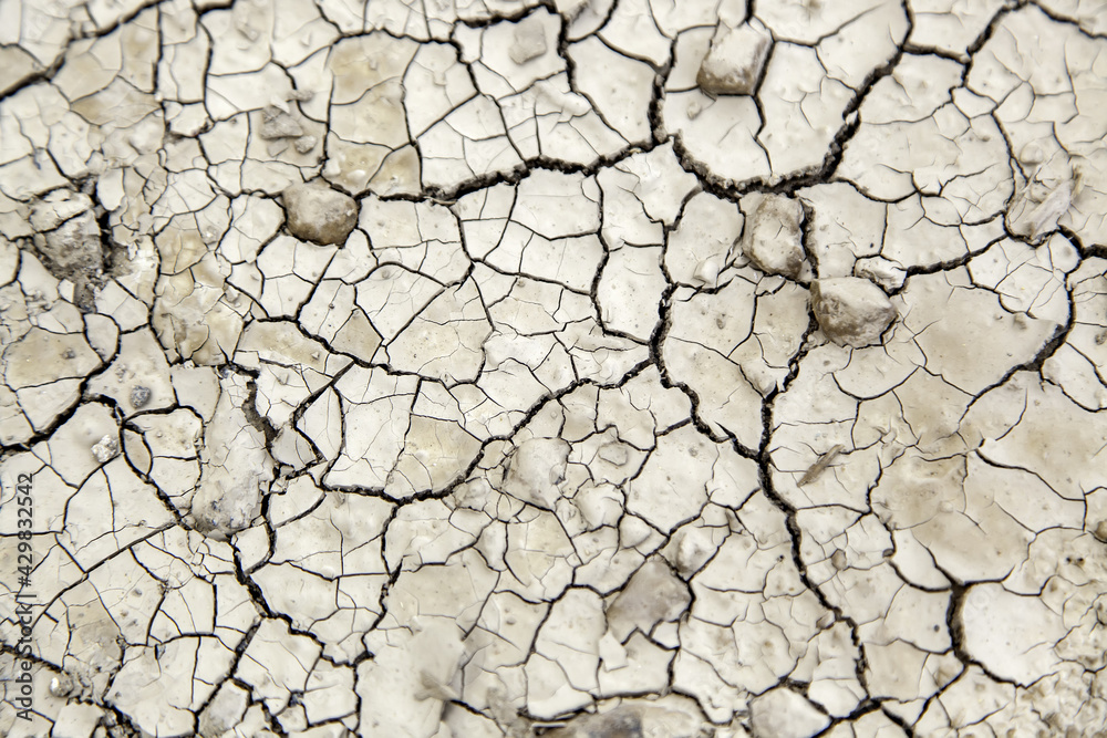 Cracked earth texture