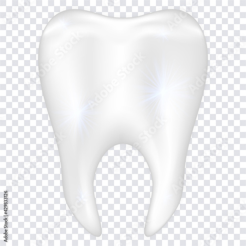 Realistic teeth isolated on transparent background. dental health and hygiene concept. vector illustration..