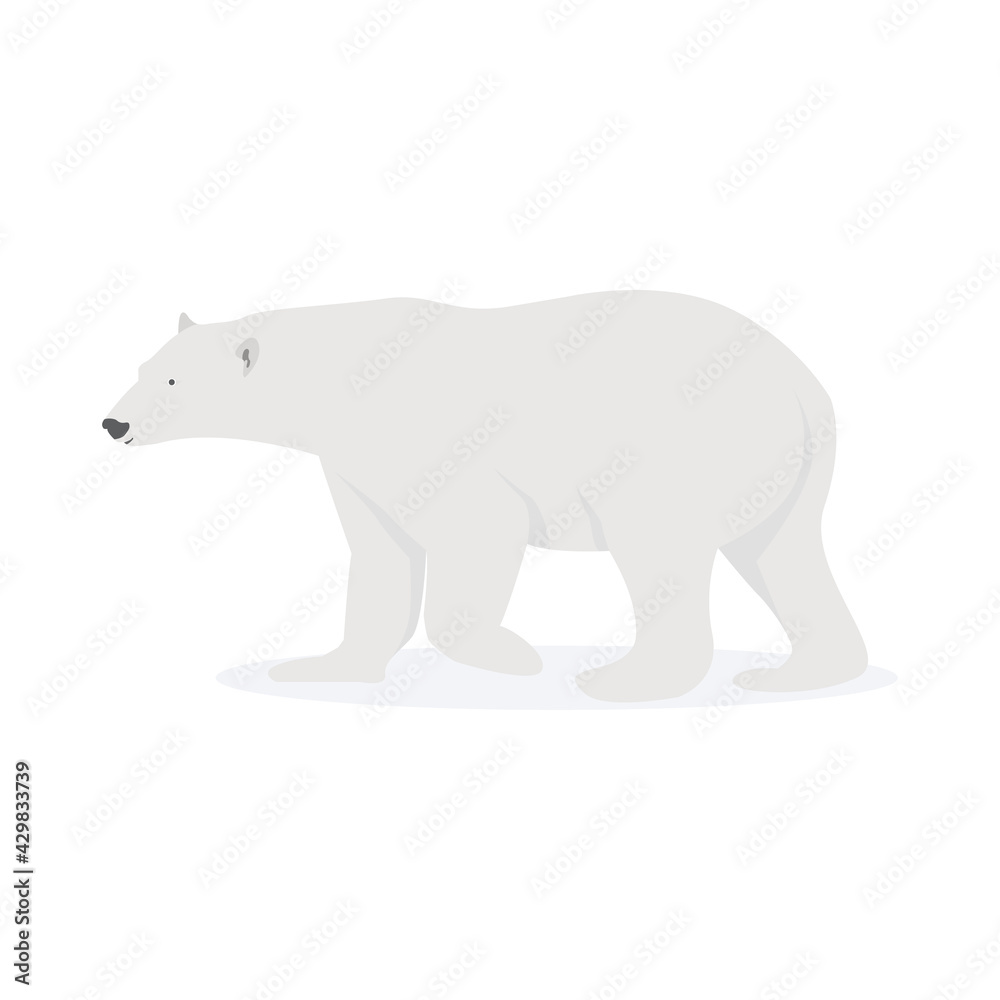 Polar bear vector art and graphics Polar bear vector art and graphics