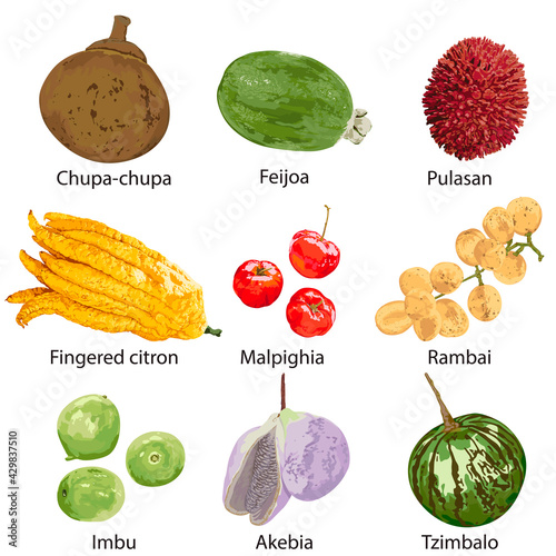 Fruits with their names on a white background. photo