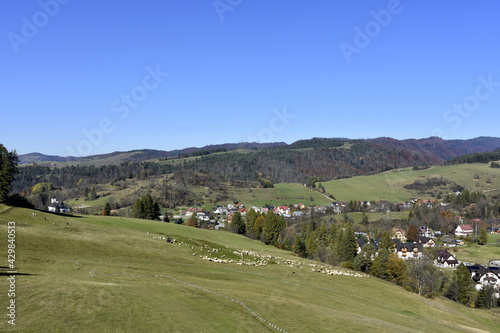 Pieniny national park  mountain  Poland  natural  