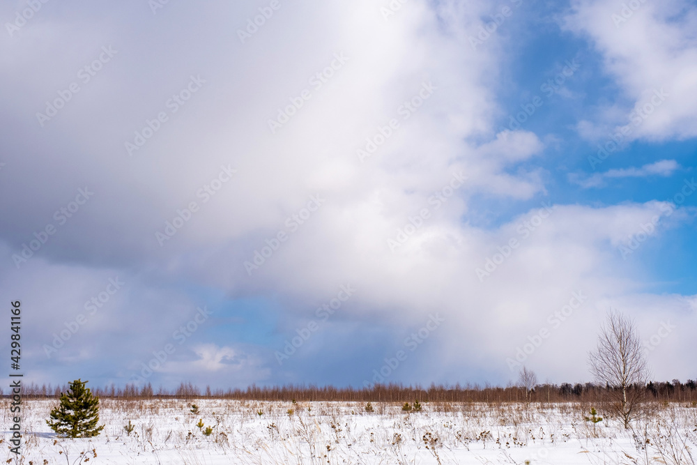 custom made wallpaper toronto digitalBeautiful landscape with low cumulus clouds on a winter day.