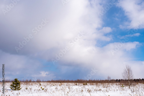 Wallpaper Mural Beautiful landscape with low cumulus clouds on a winter day. Torontodigital.ca