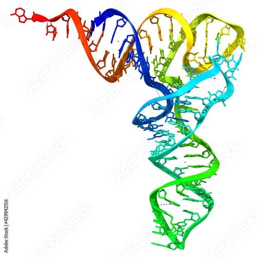 transfer RNA