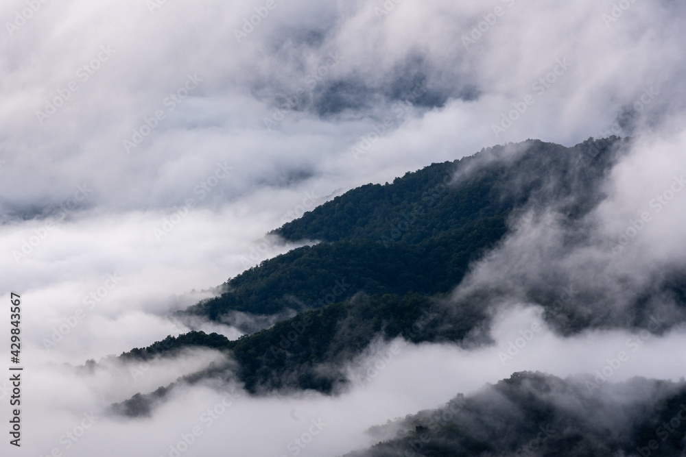 Fog Fills All The Crevaces Of Appalachian Mountains Fog Fills All The Crevaces Of Appalachian Mountains