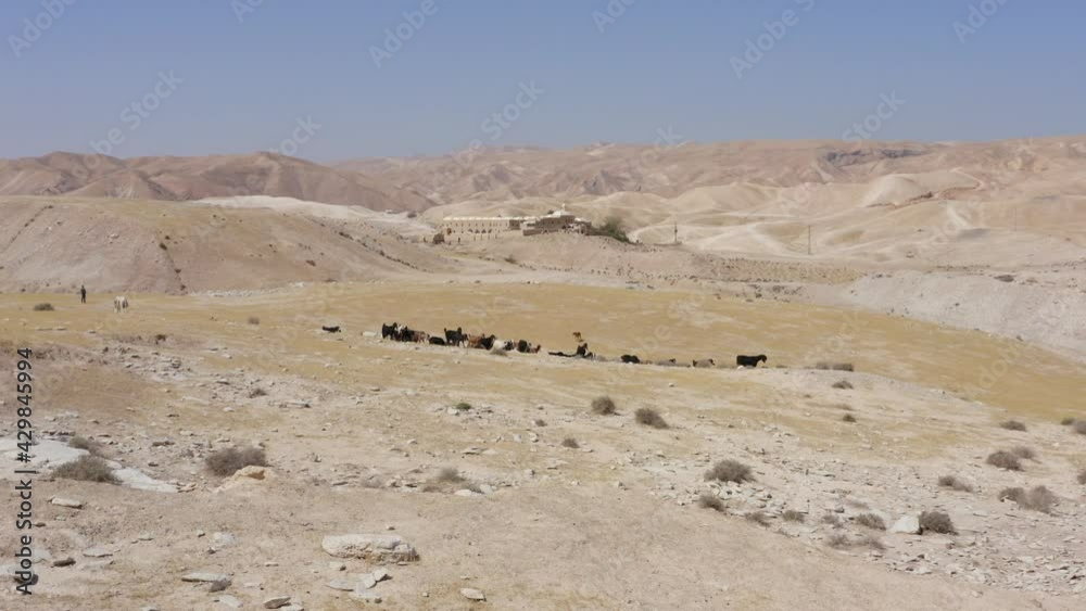 Nabi Musa, Believed to be the tomb of The Prophet Moses, Aerial view. Nabi Musa, Believed to be the tomb of The Prophet Moses, Aerial view.