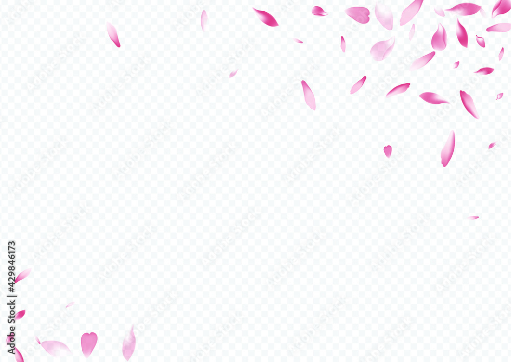 Light Blossom Vector Transparent Background. Cherry Romance Design. Petal Down Template. Leaf Sky Cover. Purple Rosa Wedding Backdrop.