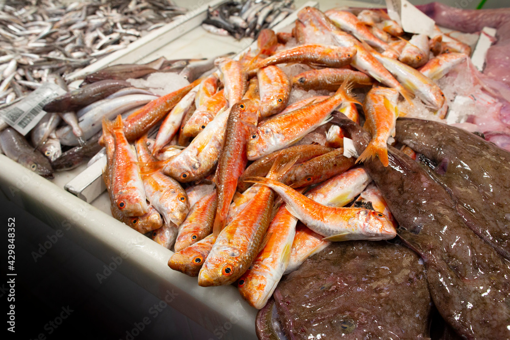 red mullet in the market