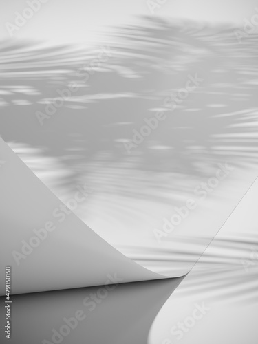 Summer mockup concept for product presentation. White paper roll with palm leaf shadow on white background. Clipping path of each element included. 3d rendering illustration. 