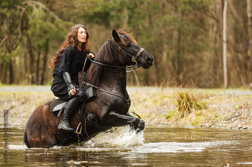 beautiful black dressed woman in historical costume is a horse that rises in the water © michal