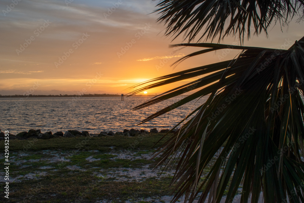 Ocean Sunrise with Palm