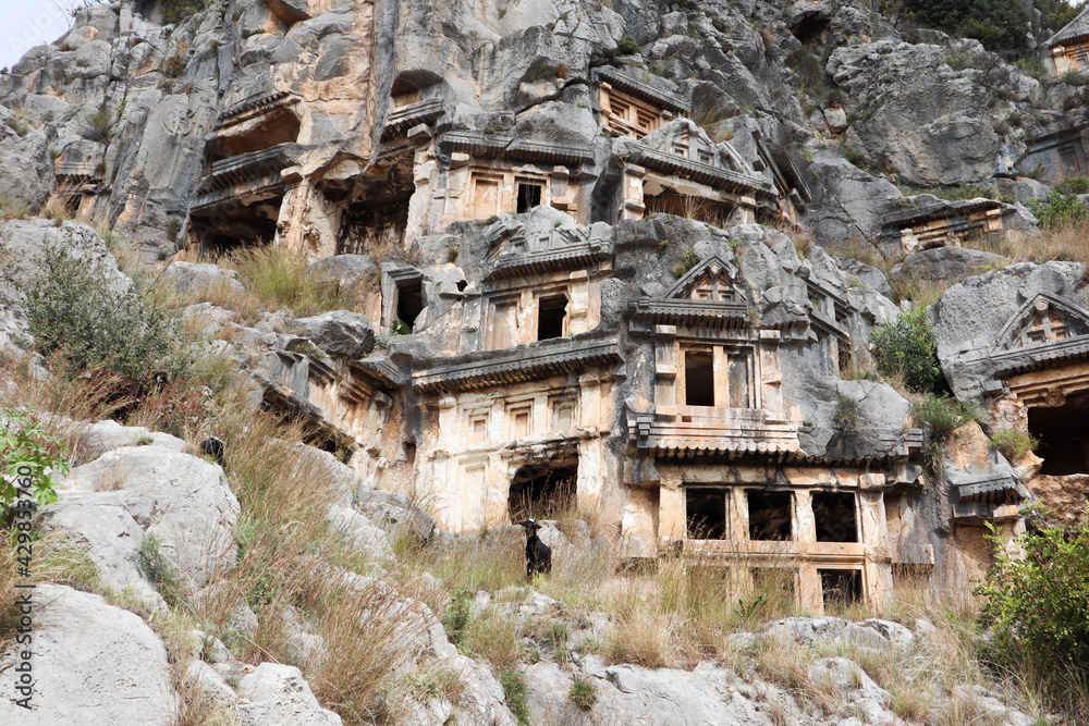 ancient monumental lycian rock-cut tombs in archaeological site Myra near Demre, Turkey with goats grazing among them 