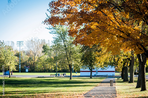 autumn in the park