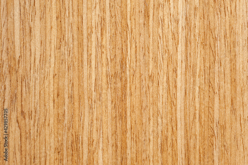 Wood texture. Surface of teak wood background for design and decoration