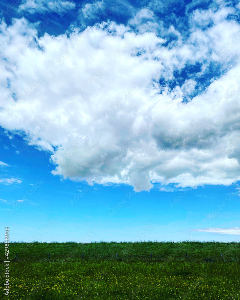 green field and blue sky hooksiel green field and blue sky hooksiel
