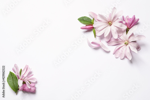 Beautiful pink magnolia flowers on white background, top view