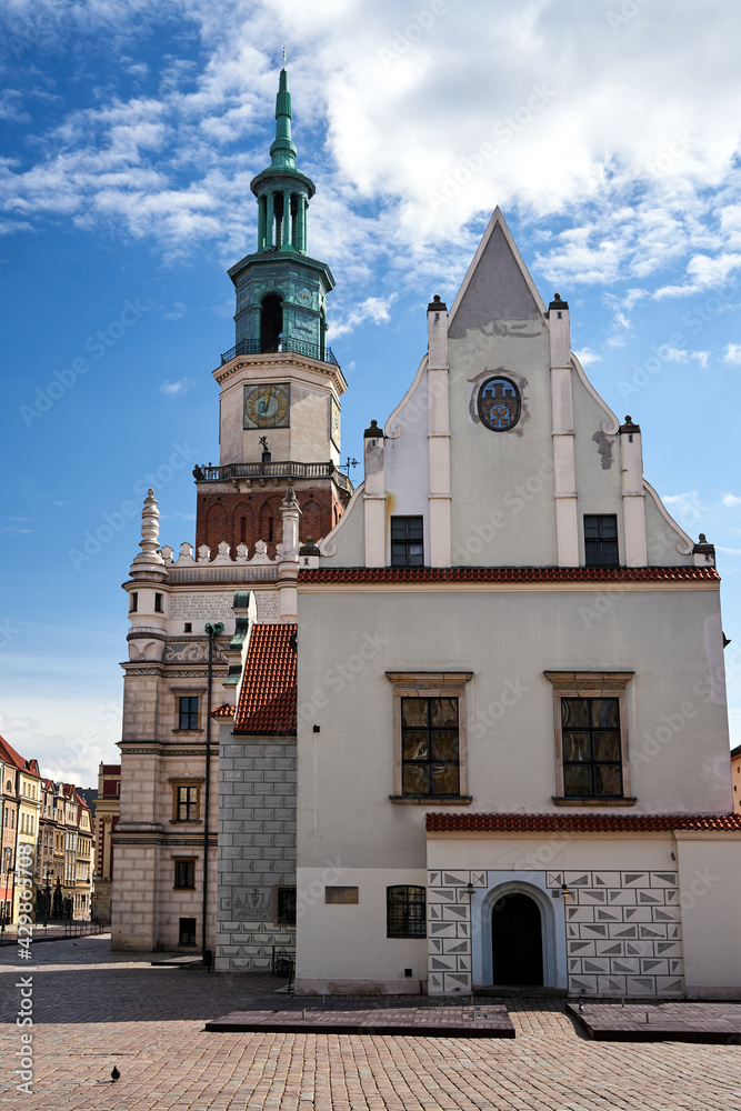 Fototapeta premium Historic buildings and the tower of the Renaissance town hall on the square