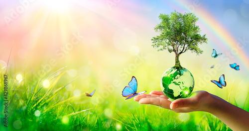 Fototapeta Naklejka Na Ścianę i Meble -  Tree On Planet - Environment Concept - Hand Holding Green Globe With Butterflies And Rainbow