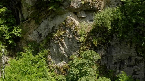 moss covered rocks