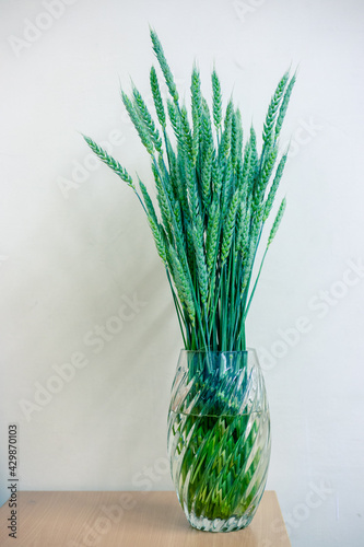 Wheat stalks in a glass vase on a white background