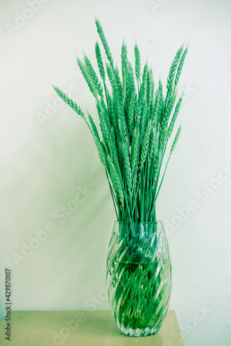 Wheat stalks in a glass vase on a white background