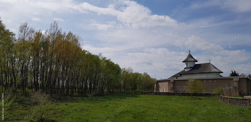 Obraz premium monastery near a forest
