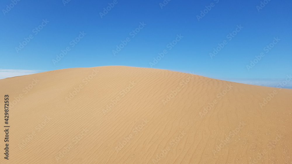 beautiful perfect desert sand dune with blue sky in the background. wind ripples lines or waves effects on sands close up. beautiful perfect desert sand dune with blue sky in the background. wind ripples lines or waves effects on sands close up.