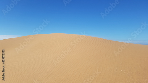 beautiful perfect desert sand dune with blue sky in the background. wind ripples lines or waves effects on sands close up.