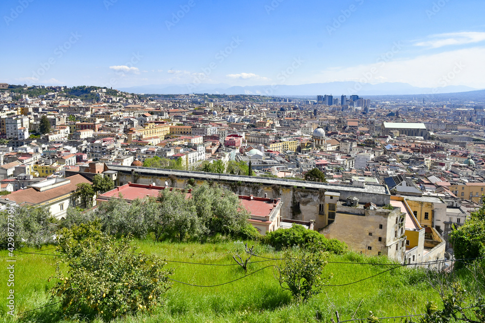 Panorama of the city of Naples from the vineyard of the abbey of Saint Martin, Italy.