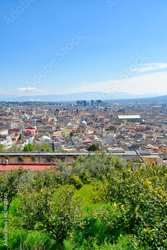 Fototapeta Naklejka Na Ścianę i Meble -  Panorama of the city of Naples from the vineyard of the abbey of Saint Martin, Italy.