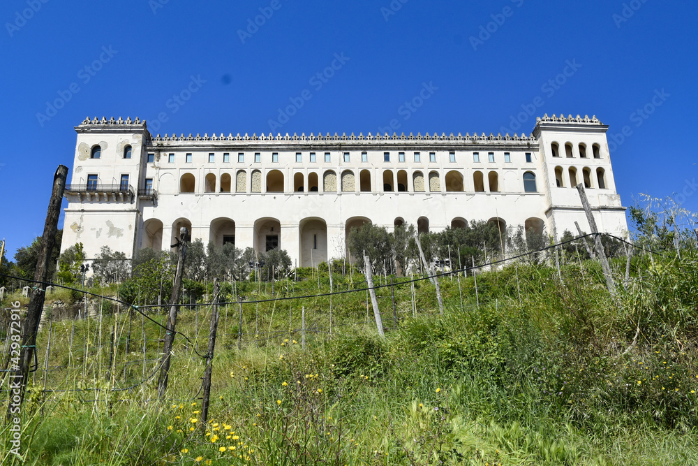 The monastery of Saint Martin seen from the vineyard below., in Naples, Italy.