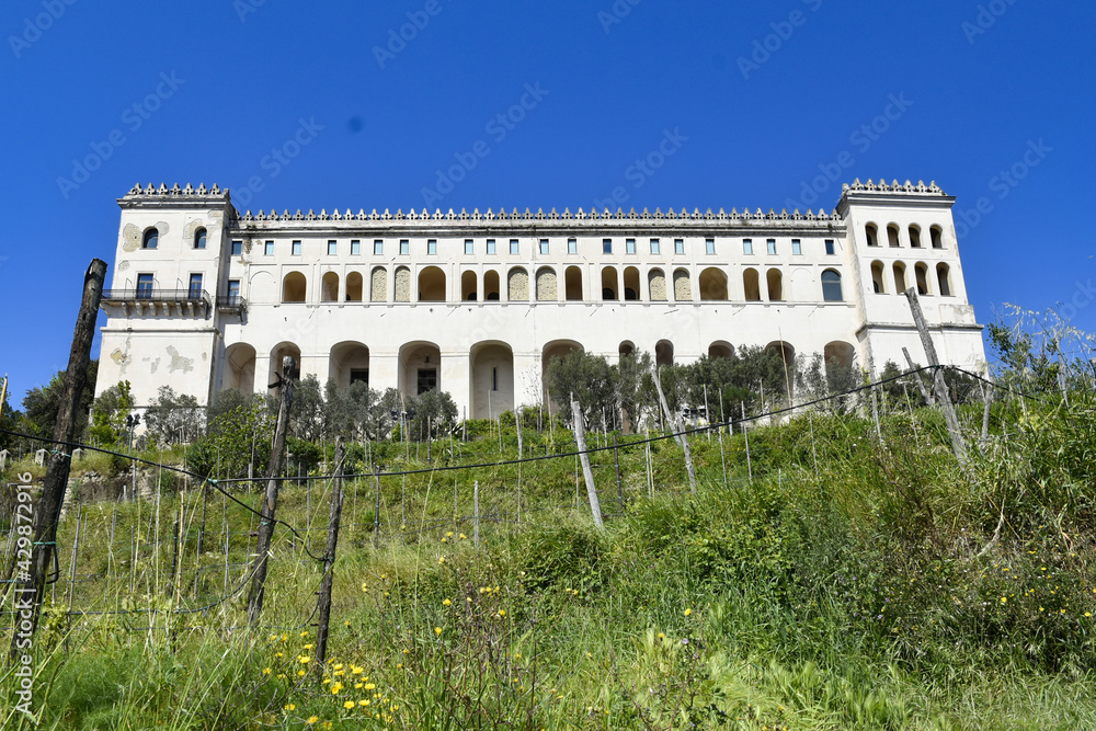 Fototapeta premium The monastery of Saint Martin seen from the vineyard below., in Naples, Italy.