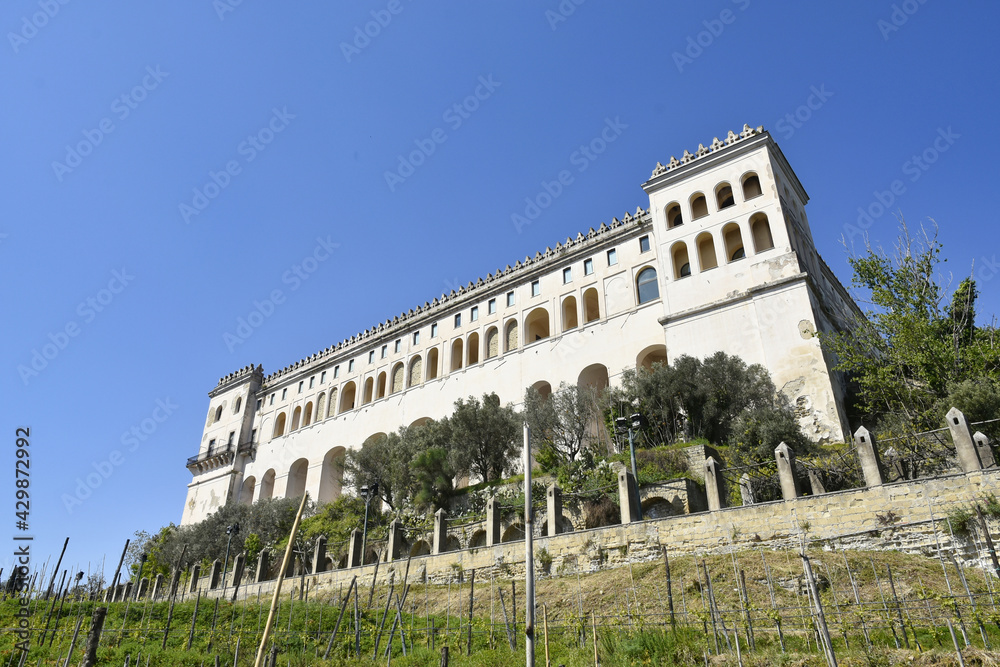 The monastery of Saint Martin seen from the vineyard below., in Naples, Italy.
