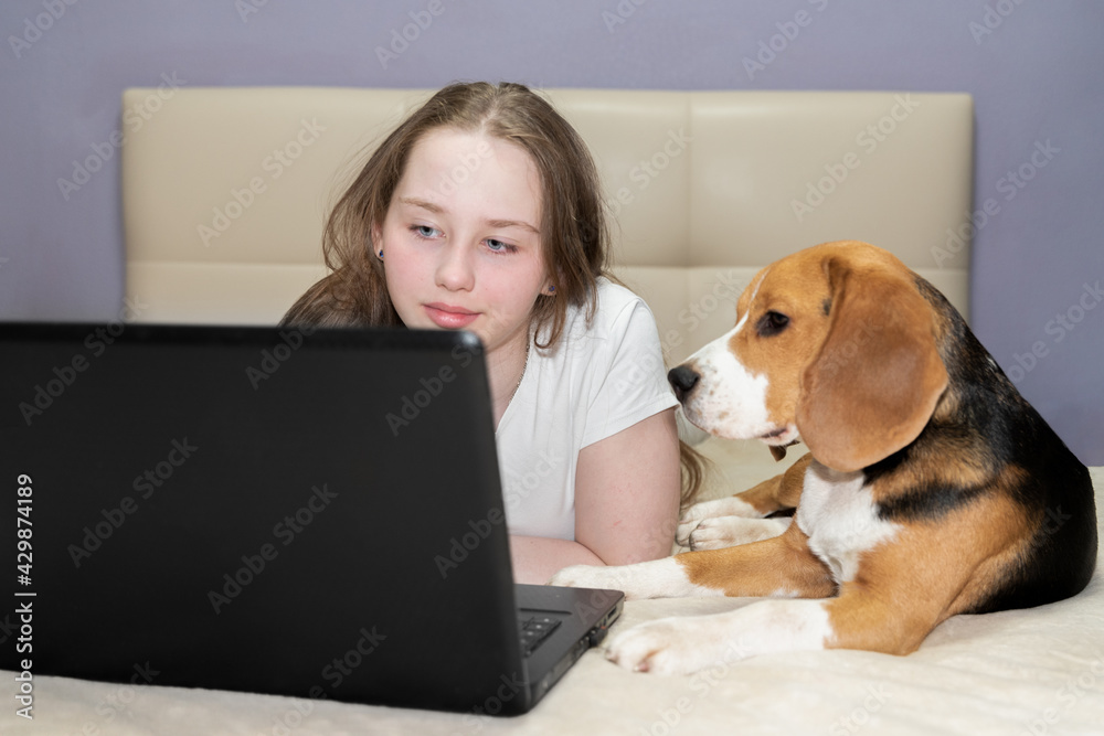 Freelancer using laptop for working, dog next to her.