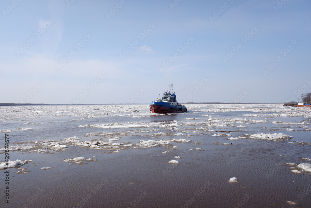 a tugboat sails along a large full-flowing spring river during the ice drift. sunny day,