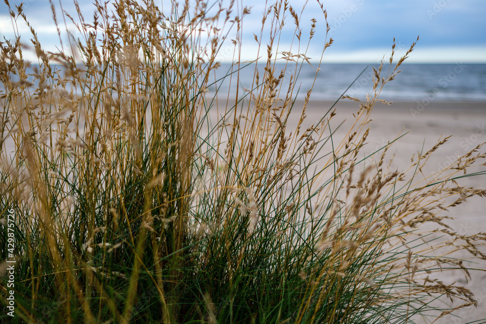 empty sandy beach by the sea with rocks