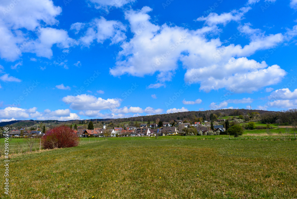 Fototapeta premium Möggingen/ Radolfzell am Bodensee