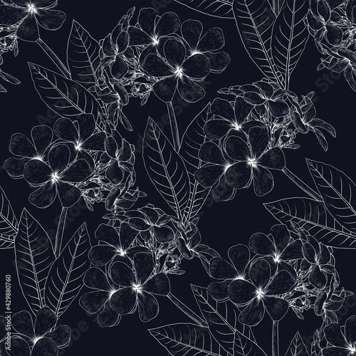 Seamless pattern floral with frangipani flowers abstract background.Vector illustration hand drawn line art.For fabric fashion print design or product packaging.